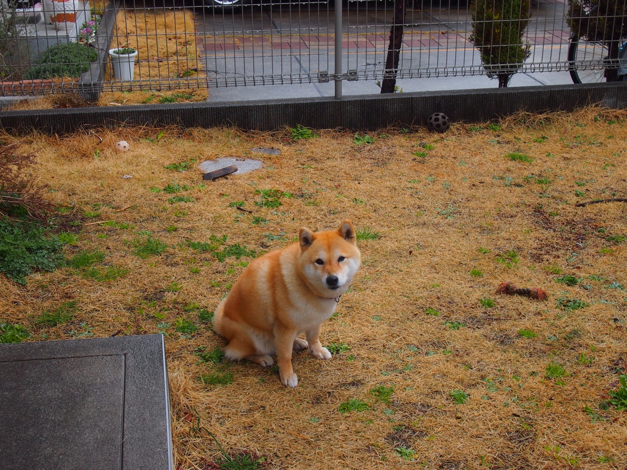 克罗地亚骑手吉塔·日特科维奇在2024年国际马术联合会世界障碍赛中获得第十名，展现坚韧精神。