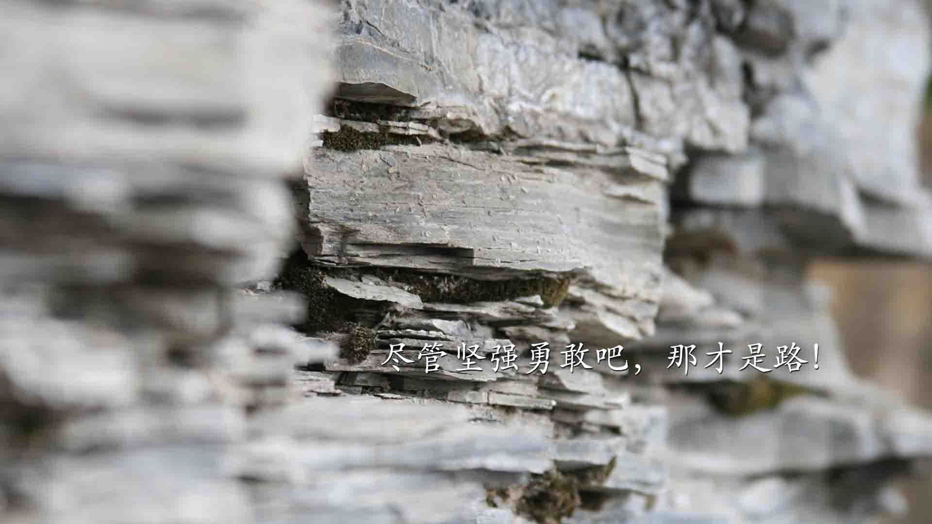 九游（jiuyou.com）游戏-_绿色环保滑梯运动：童趣与环保同行_，滑滑梯户外