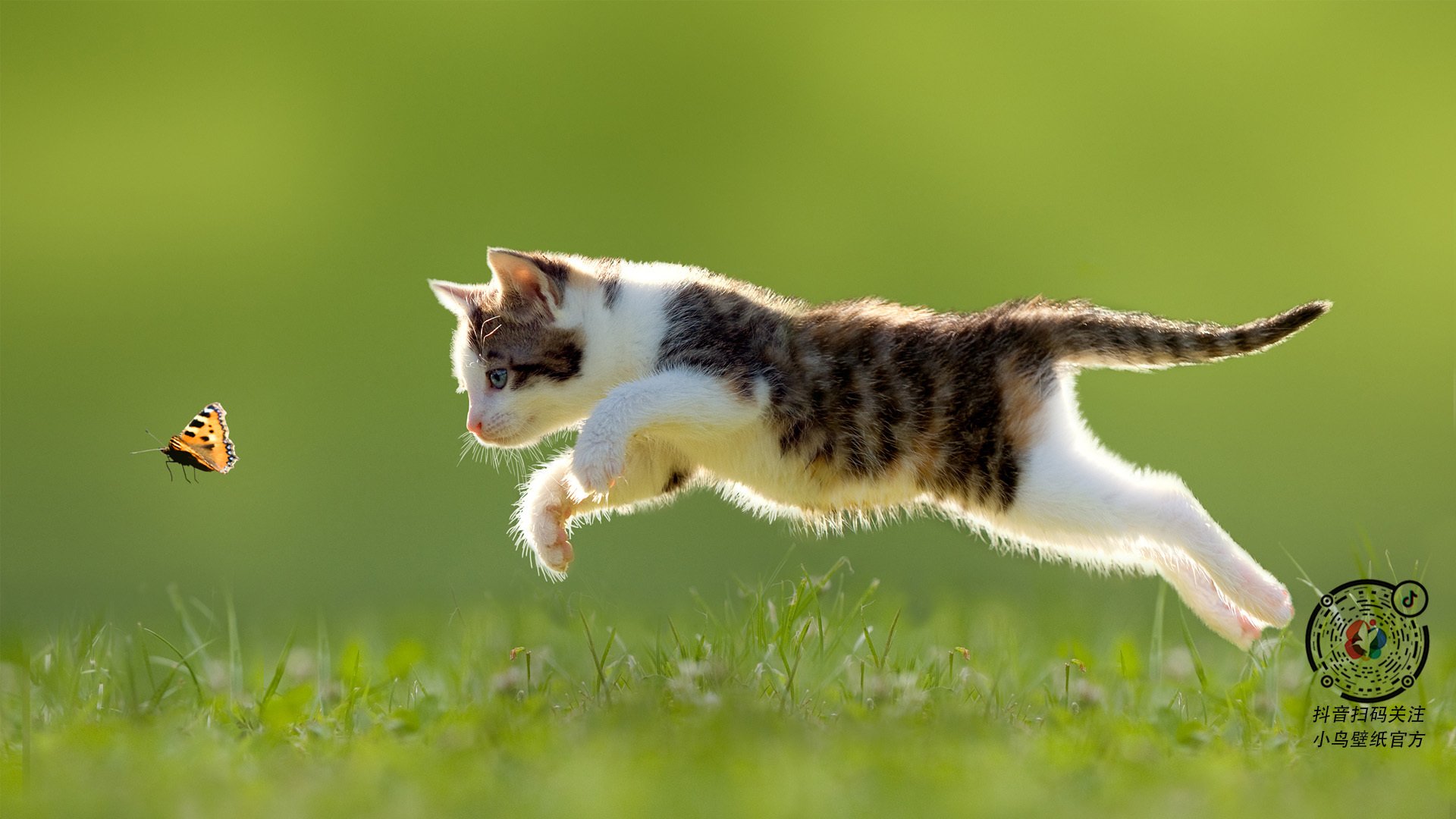 九游官网pc-哥伦比亚队在巴黎奥运会比赛中展现出快速反击战术，奥运会哥伦比亚代表团